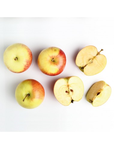 Manzano Roxelia 2 años a Raíz