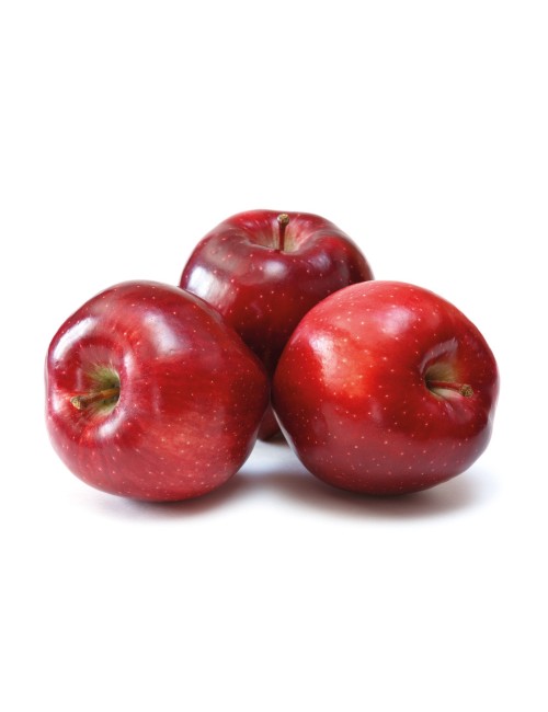 Manzano Starking (Red Delicious) 2 años a Raíz