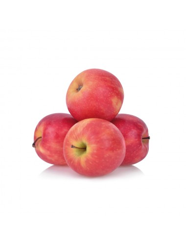 Manzano Florina 2 años a Raíz