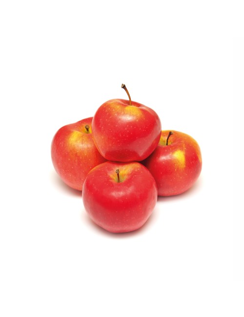 Manzano Reineta Roja 2 años a Raíz