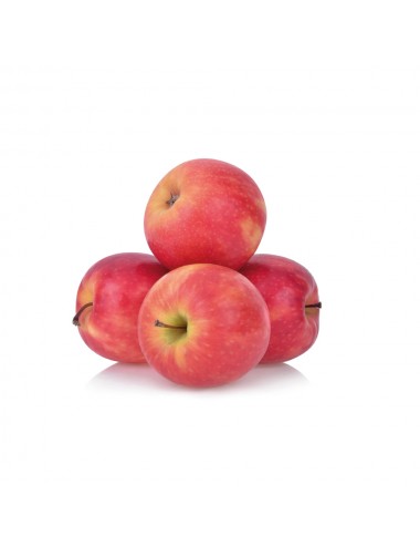 Manzano San Felipe 2 años a...