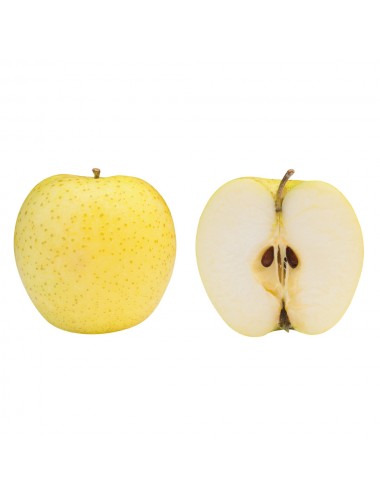 Manzano Transparente...