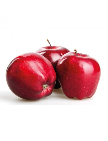 Manzano Gloster 2 años a Raíz