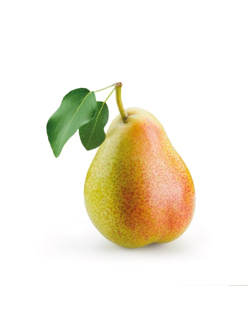 Peral Decano del Congreso 2 años