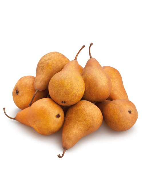 Peral Caruja 2 años