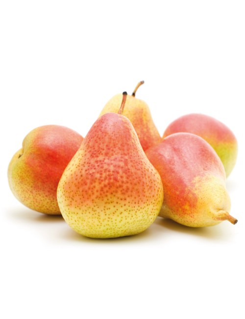 Peral Castell 2 años