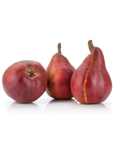 Peral Cascade 2 años