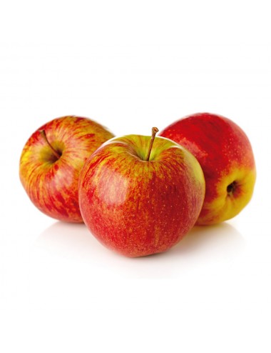 Manzano Royal-Gala 2 años a...