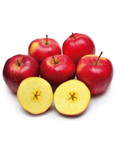 Manzano Reineta Encarnada 2...