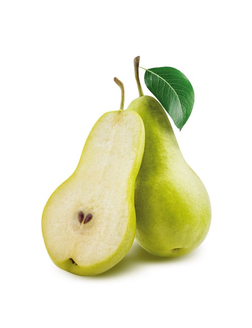 Peral Donguindo 2 años