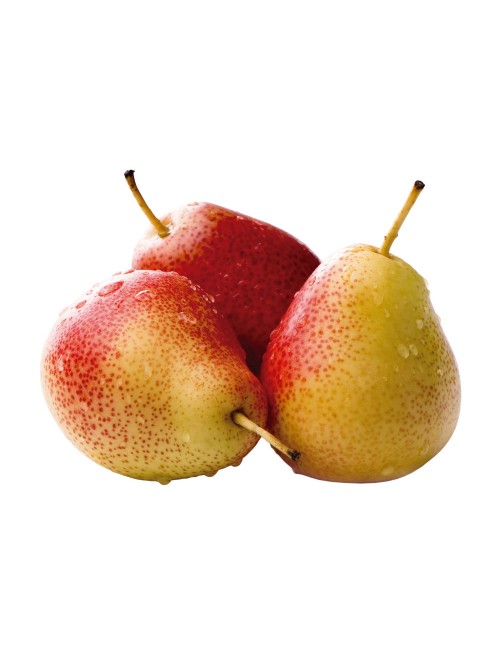 Peral Magallón 2 años