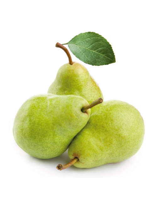 Peral Manteca Arenberg 2 años