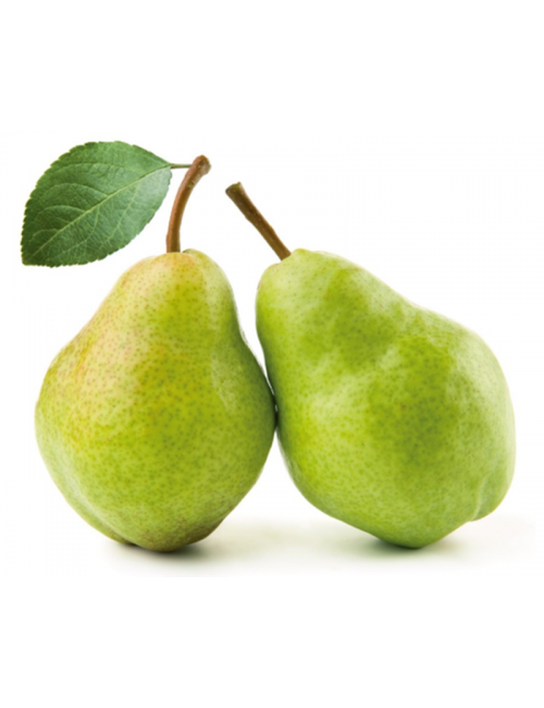 Peral Duquesa de Angulema 2 años