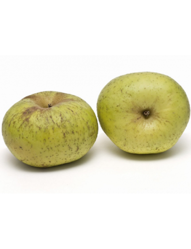 Manzano Reineta Champagne 2...