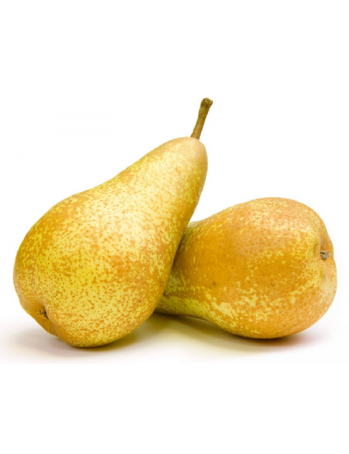 Peral General Leclerc 2 años