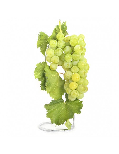 Parra Moscatel