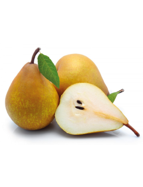 Peral Manteca Hardy 2 años