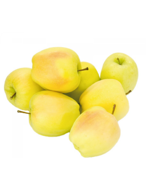 Manzano Early Temprana 2 años a Raíz