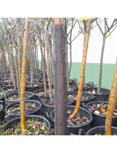 Protector Para Árboles 55 cm