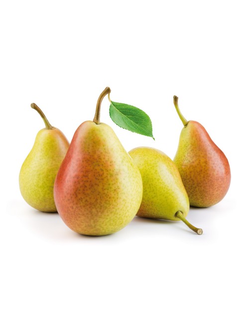 Peral Ercolini 2 años