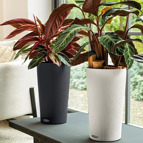 Maceta Cilindro Auto-Riego Lechuza