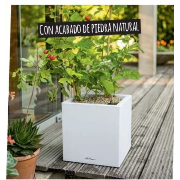 Maceta Cuadrada Baja Auto-Riego Lechuza