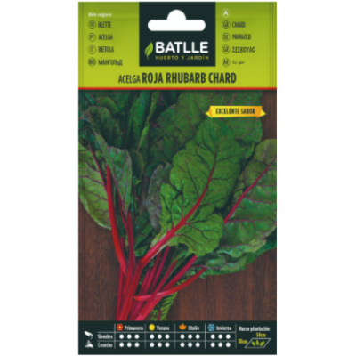 Semillas de Acelga Roja