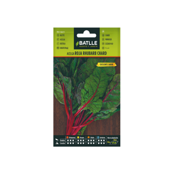 Semillas de Acelga Roja