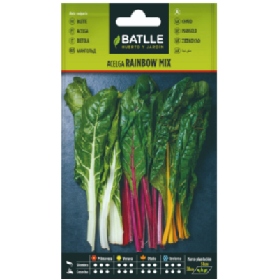 Semillas de Acelga Rainbow Mix