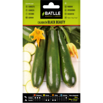 Semillas de Calabacín