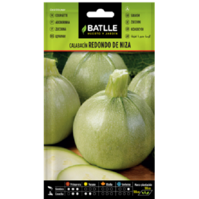 Semillas de Calabacín Redondo
