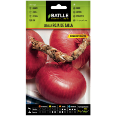 Semillas de Cebolla Roja