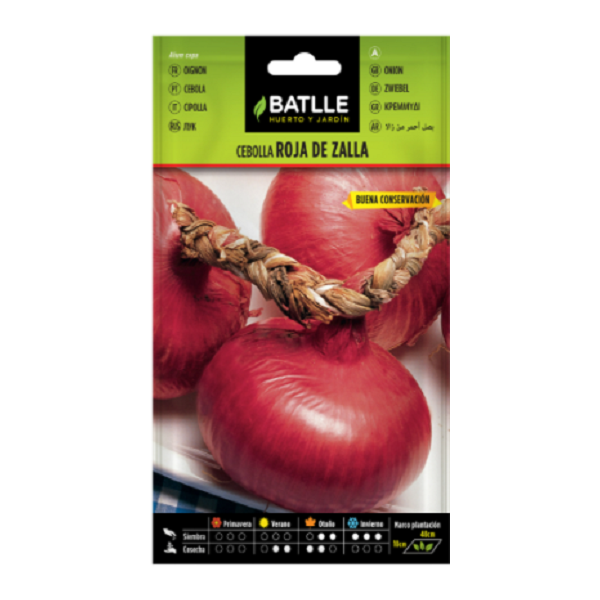 Semillas de Cebolla Roja