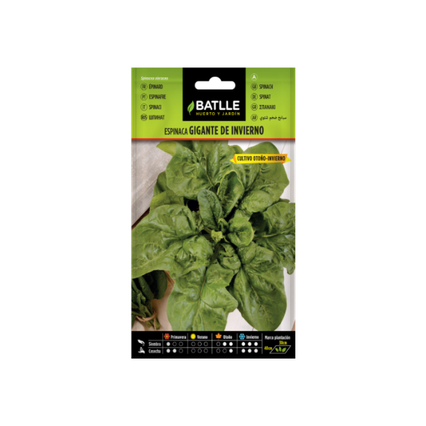 Semillas de Espinaca Gigante