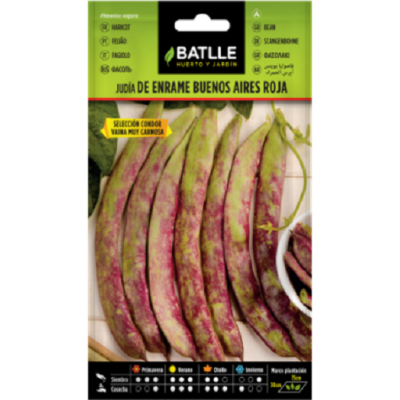 Semillas de Judía Buenos...