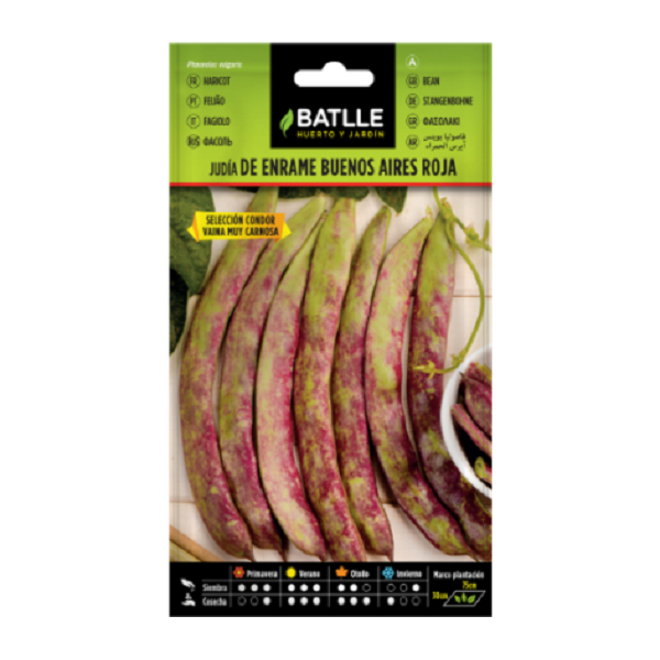 Semillas de Judía Buenos Aires Roja