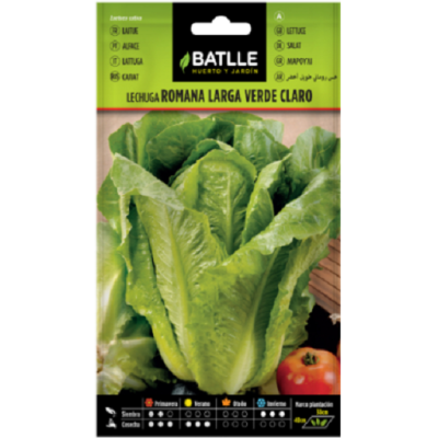 Semillas de Lechuga Romana
