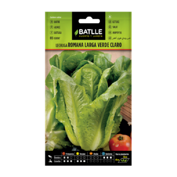 Semillas de Lechuga Romana