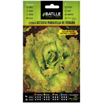 Semillas de Lechuga...