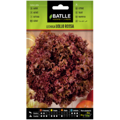 Semillas de Lechuga Lollo...