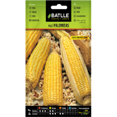 Semillas de Maíz para...