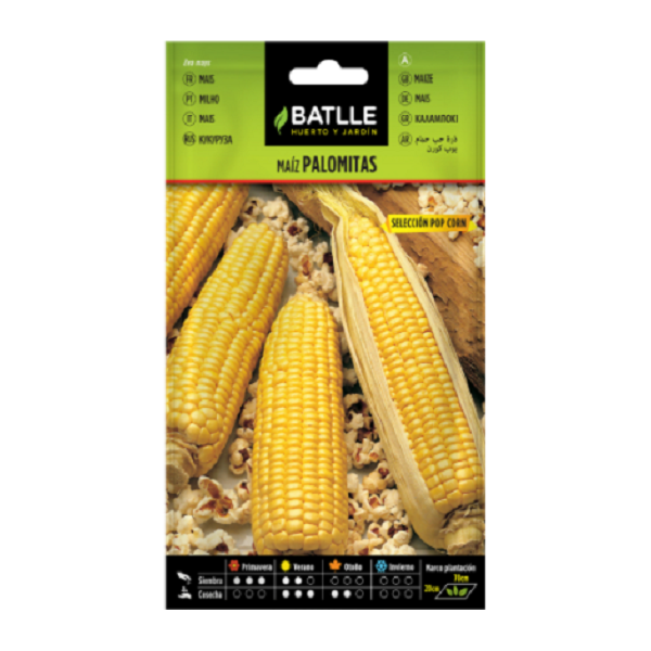 Semillas de Maíz para Palomitas