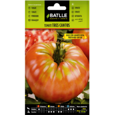 Semillas de Tomate Rosa...