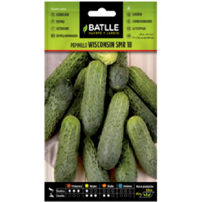 Semillas de Pepinillo