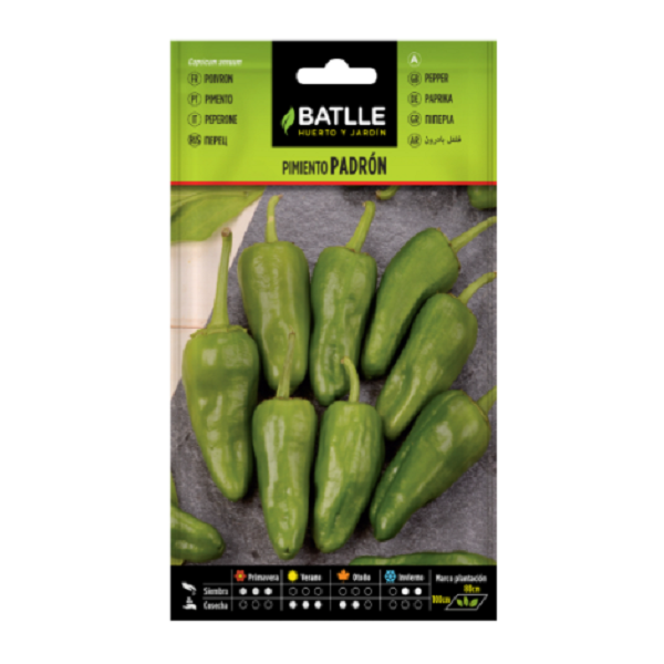 Semillas de Pimiento del Padrón