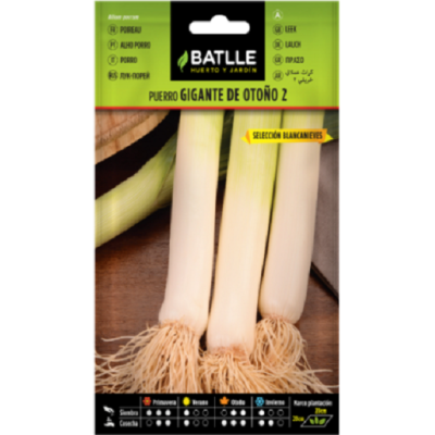 Semillas de Puerro Gigante