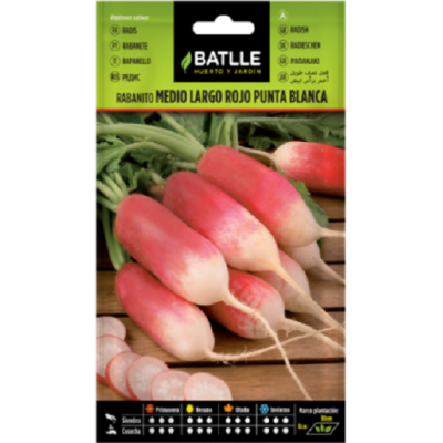 Semillas de Rabanito...