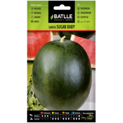 Semillas de Sandía Sugar Baby