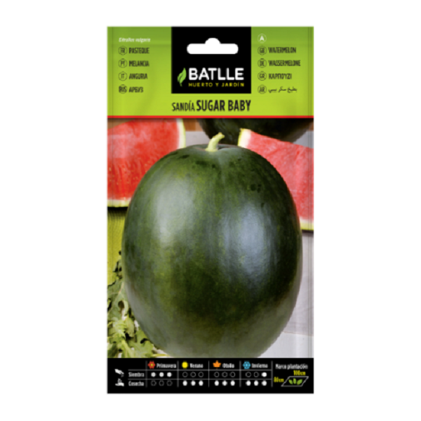 Semillas de Sandía Sugar Baby