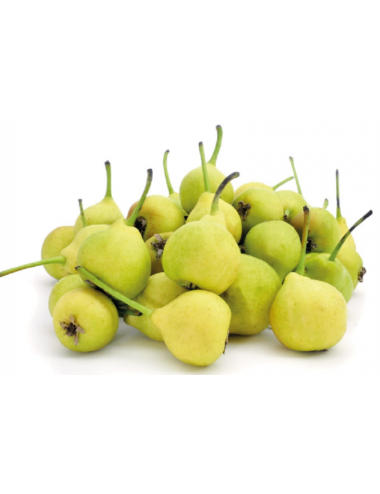 Ceremeño